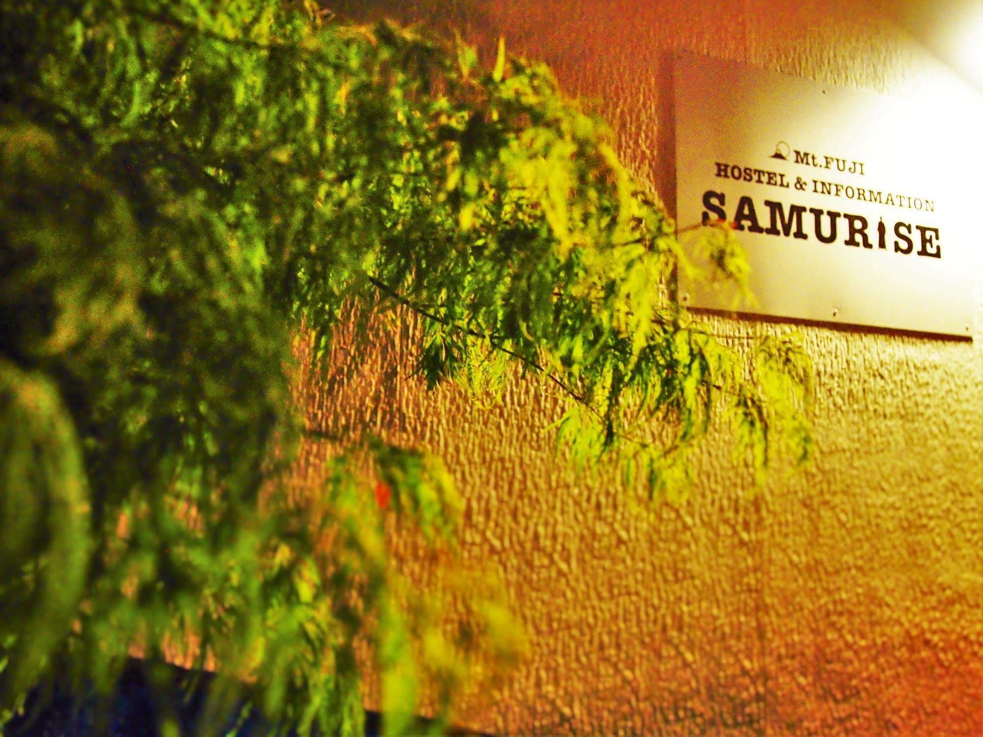 Hostel Samurise Mt Fuji Fujikawaguchiko Exterior foto